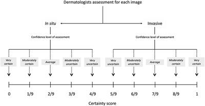 Discrimination Between Invasive and In Situ Melanomas Using Clinical Close-Up Images and a De Novo Convolutional Neural Network